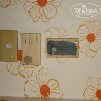 фото из отзыва ID 873106