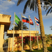 фото из отзыва ID 873173