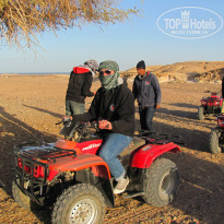 фото из отзыва ID 873084