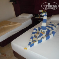 фото из отзыва ID 873560