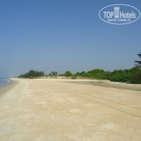 фото из отзыва ID 873688