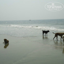 фото из отзыва ID 873688