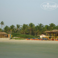 фото из отзыва ID 873688