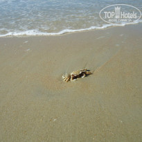 фото из отзыва ID 873688