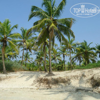 фото из отзыва ID 873688