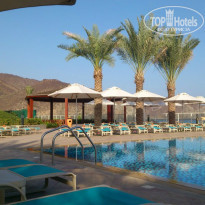 фото из отзыва ID 873707