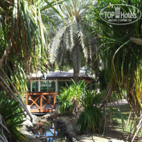 фото из отзыва ID 873790