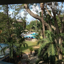 фото из отзыва ID 873852