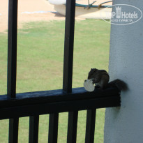 фото из отзыва ID 873870