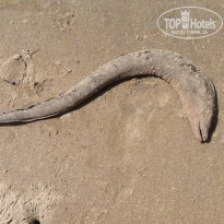 фото из отзыва ID 873446