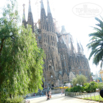 фото из отзыва ID 873183