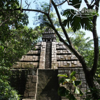 фото из отзыва ID 873684