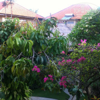 фото из отзыва ID 873684