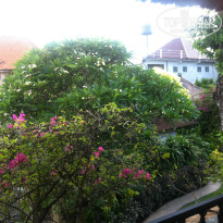 фото из отзыва ID 873684