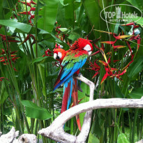 фото из отзыва ID 873684