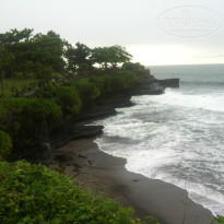 фото из отзыва ID 873684