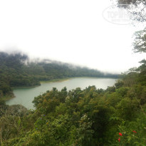 фото из отзыва ID 873684