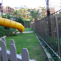 фото из отзыва ID 873661