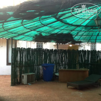 фото из отзыва ID 874068