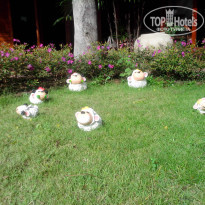 фото из отзыва ID 874099