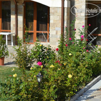 фото из отзыва ID 874139