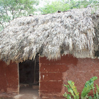 фото из отзыва ID 874291