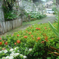 фото из отзыва ID 874369