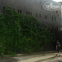 фото из отзыва ID 874369