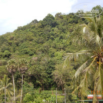 фото из отзыва ID 874472