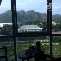 фото из отзыва ID 874539