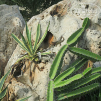 фото из отзыва ID 874572