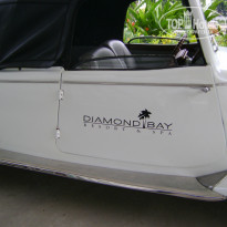 фото из отзыва ID 874710