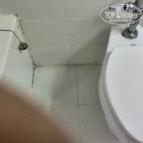 фото из отзыва ID 874738