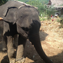 фото из отзыва ID 874808