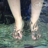 фото из отзыва ID 874808