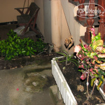 фото из отзыва ID 874850