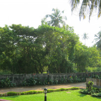 фото из отзыва ID 874886