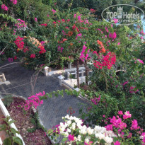 фото из отзыва ID 874018