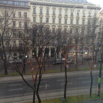 фото из отзыва ID 874537