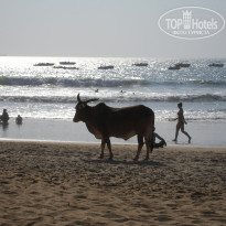 фото из отзыва ID 874247