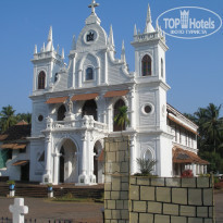 фото из отзыва ID 874247