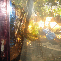 фото из отзыва ID 875027