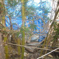 фото из отзыва ID 875027