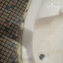 фото из отзыва ID 875027