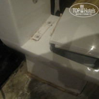 фото из отзыва ID 875027