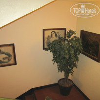 фото из отзыва ID 875080