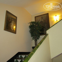 фото из отзыва ID 875080