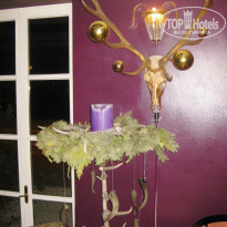 фото из отзыва ID 875165