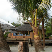 фото из отзыва ID 875221