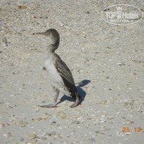 фото из отзыва ID 875329